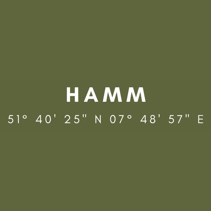 Hamm coordinates