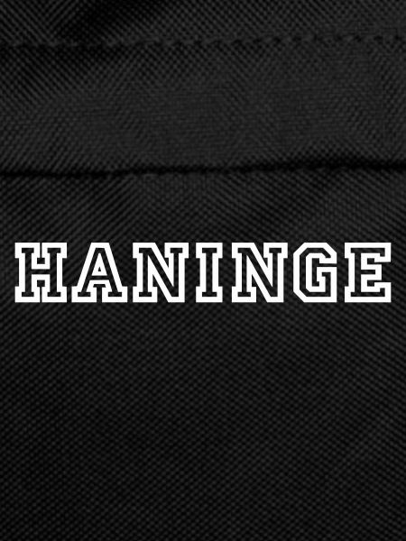 Haninge