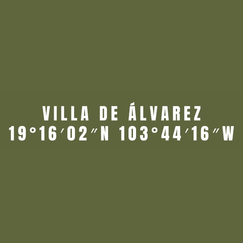 Villa de Álvarez, Mexico Coordinates