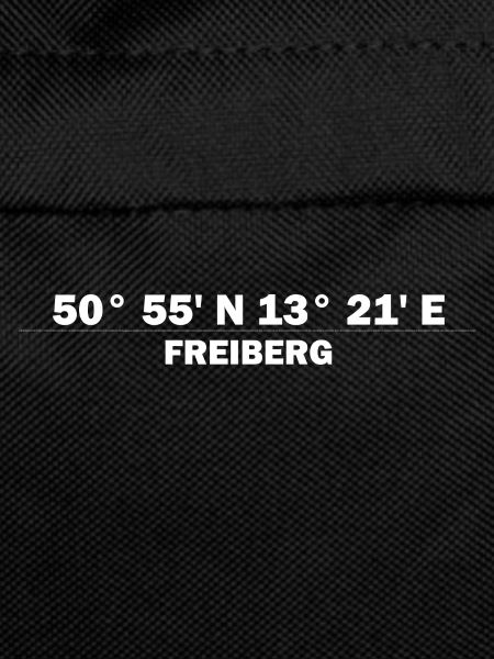 Freiberg coordinates