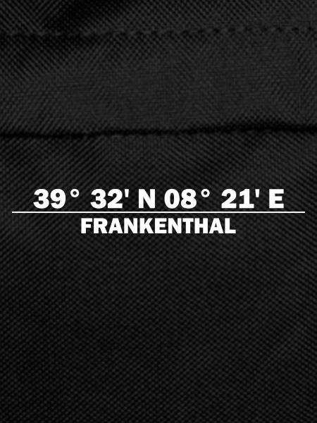 Frankenthal Koordinaten