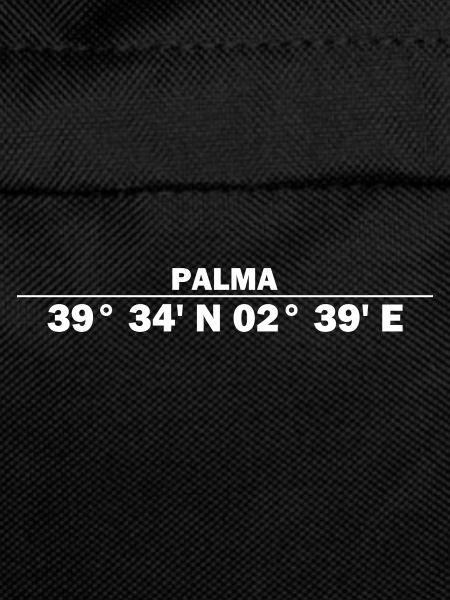 Palma coordinates