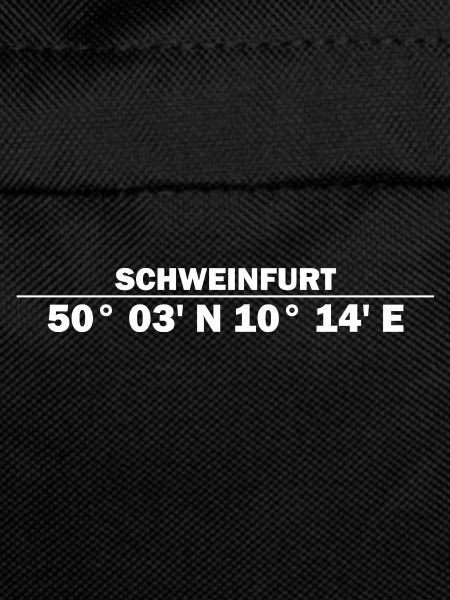 Schweinfurt coordinates