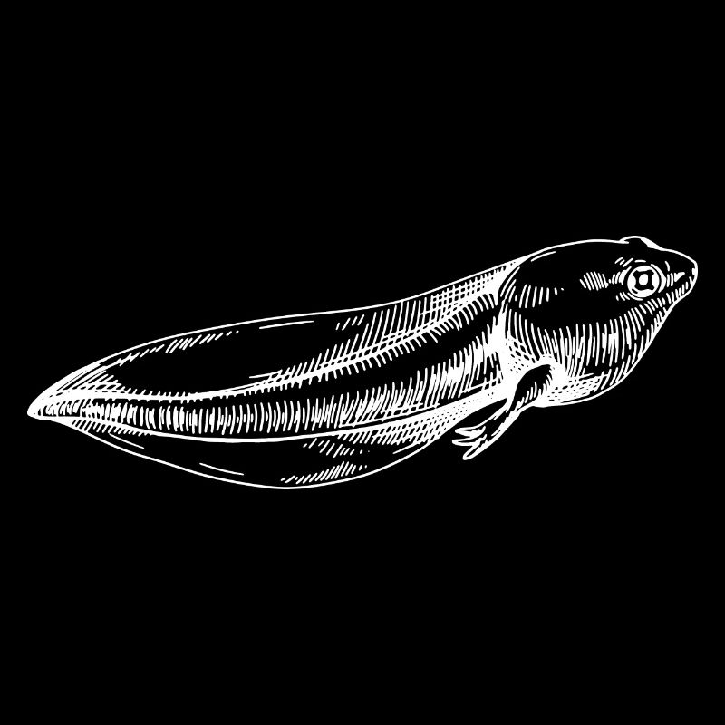 Tadpole