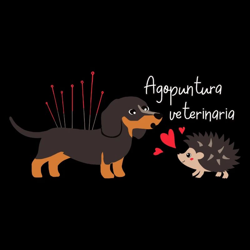 Veterinary acupuncture