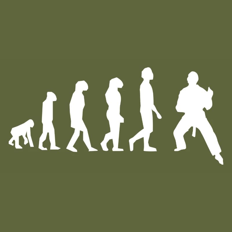 Art martiaux évolution