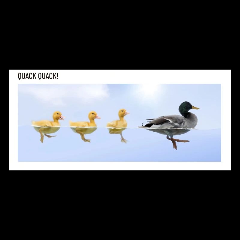 Charlatan de canard