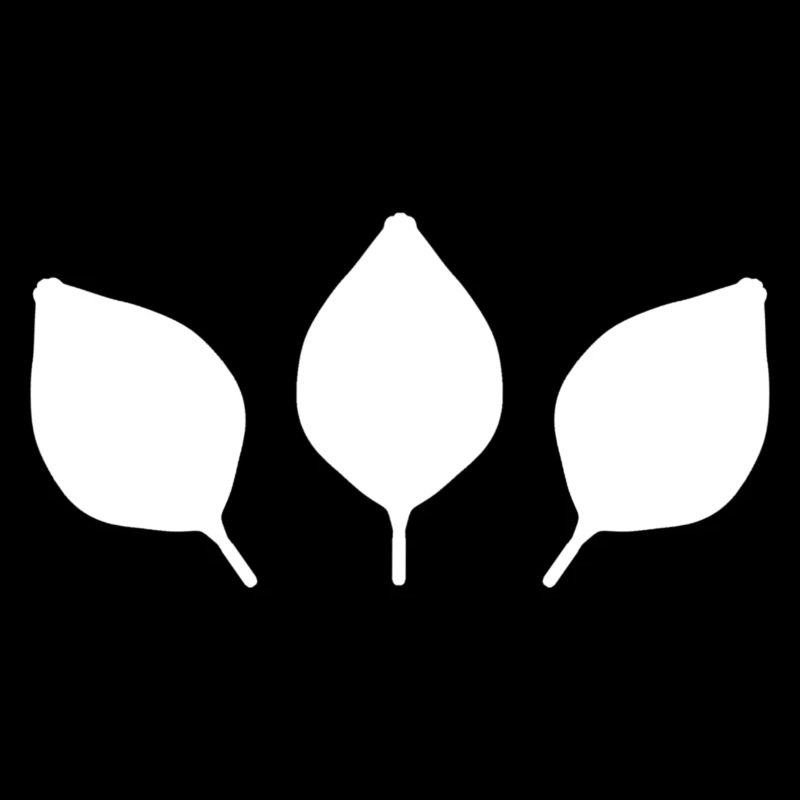 plants nature three leaves leaf green