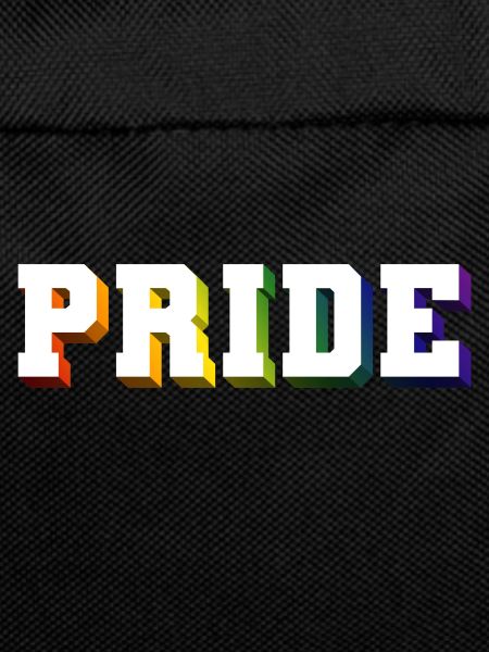 PRIDE RAINBOW SHADOW