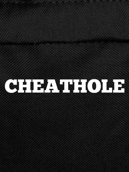 Cheater Relationship Revenge Cheating Disloyal