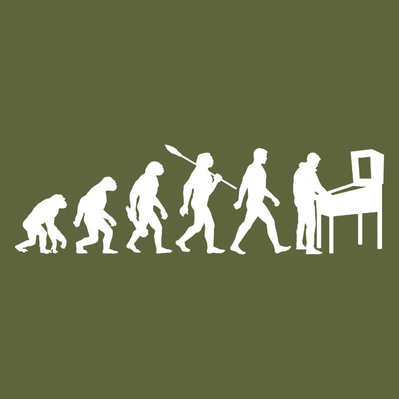 Evolution - Flipper - Flipper - Automatique