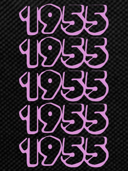 Born in 1955