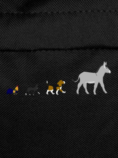 Dog, cat, cock, donkey