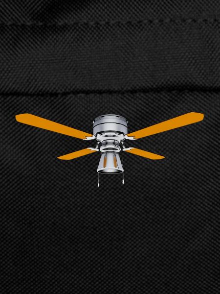 Ceiling fan, fan