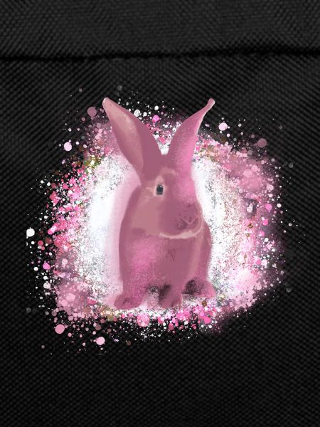 rabbit,graffiti,painting,pet,rabbit,pink