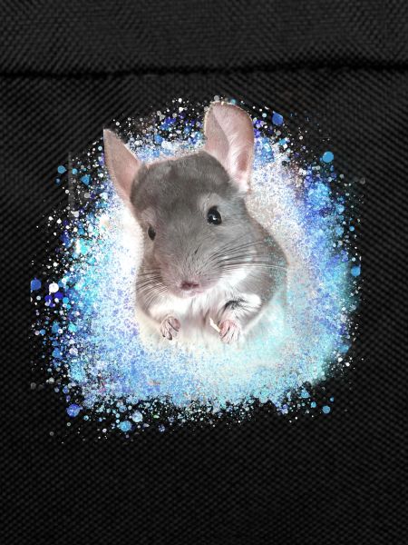 chinchilla,graffiti,painting,angora rabbit