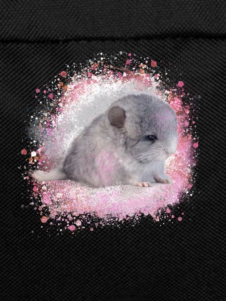 chinchilla,graffiti,painting,baby,pink