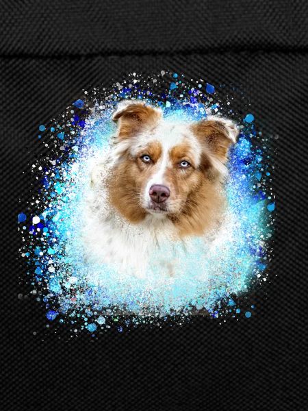 Australian shepherd, blue,graffiti, painting,dog