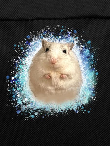 Jumping mouse,mouse,graffiti,painting,shrew