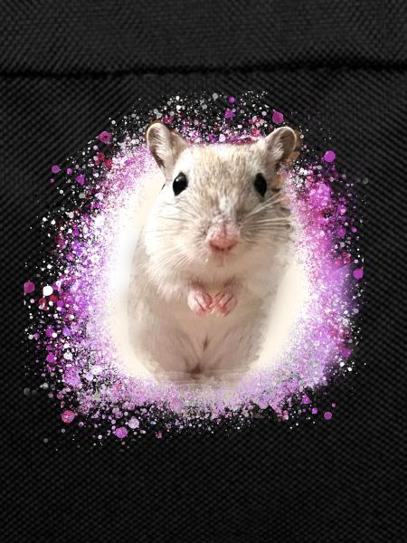 Springmaus,maus,graffiti,malerei,spitzmaus