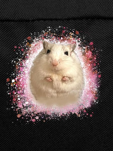 Jumping mouse,mouse,graffiti,painting,shrew