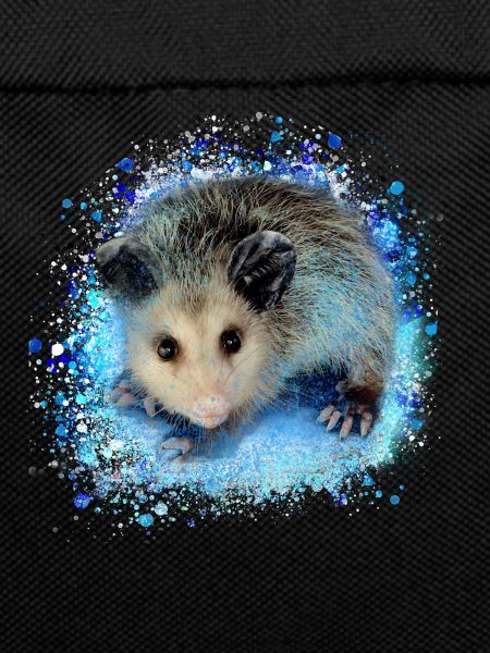 Opossum,mouse,rodent,graffiti