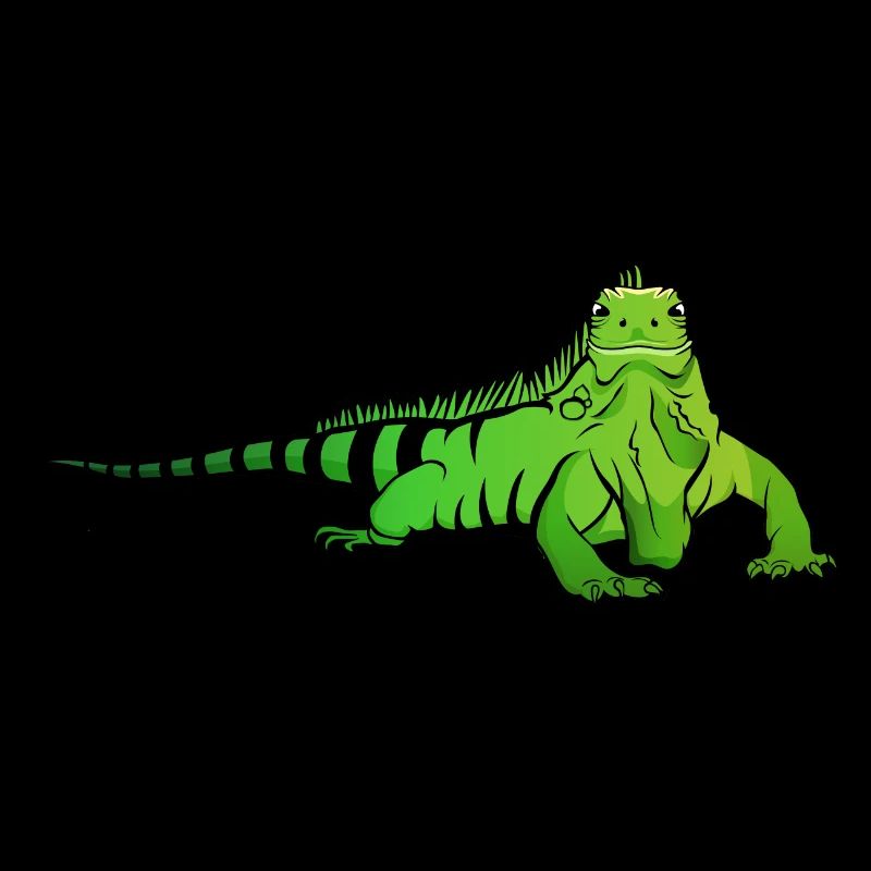 Iguana Lizard Reptile Herpetologist