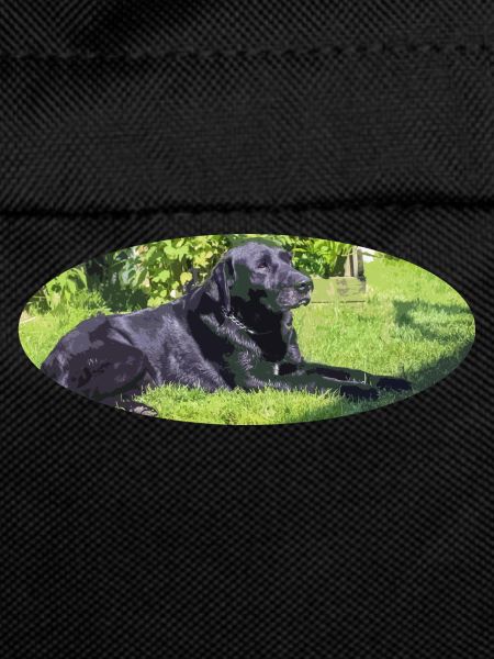 labrador