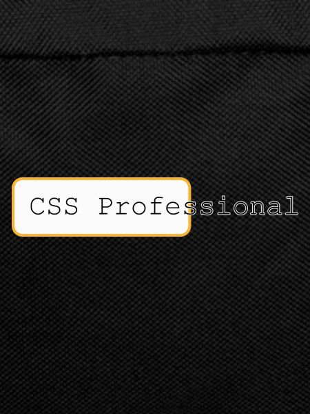 CSS Professional - Meister der Weblayouts