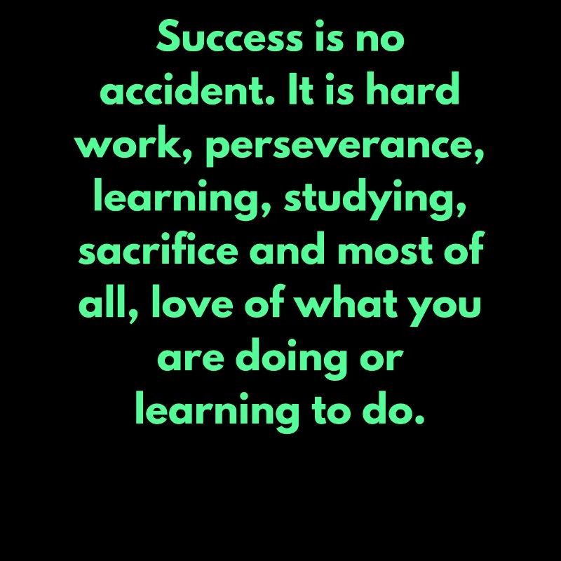 Success Is No Accident It Is Hard Work