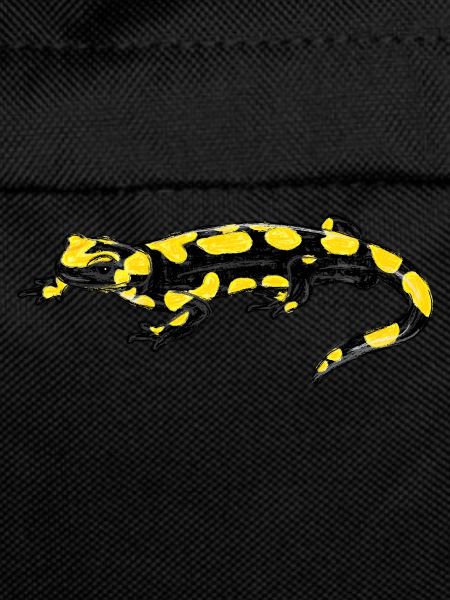 Fire Salamander I