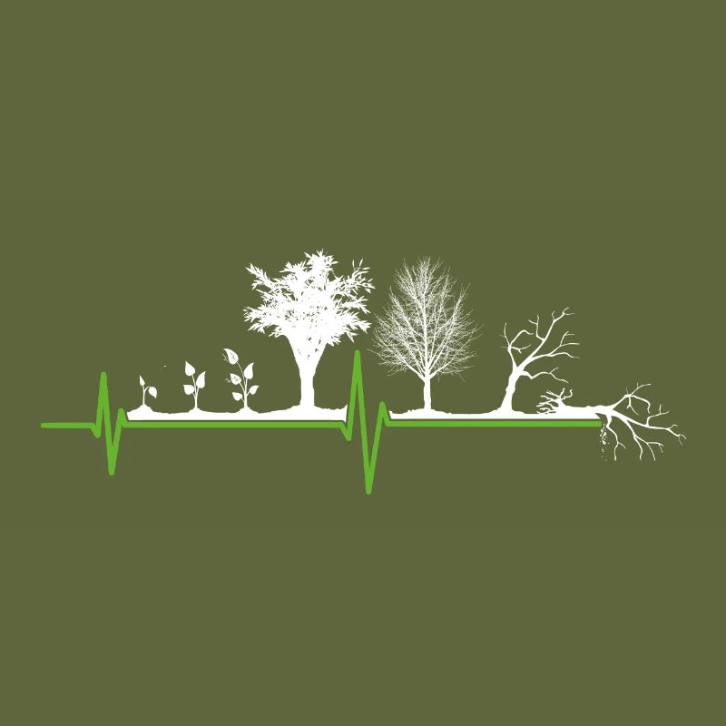 Plant Tree Evolution Garden Herzschalg