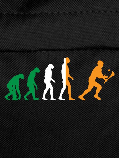 L’évolution du hurling