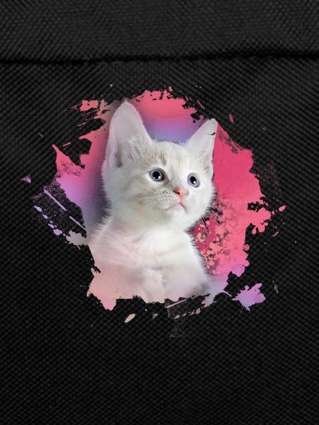kitten,cat,kitten,graffiti,painting,pink