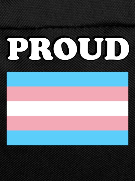 Trans Pride Transpride Flagge