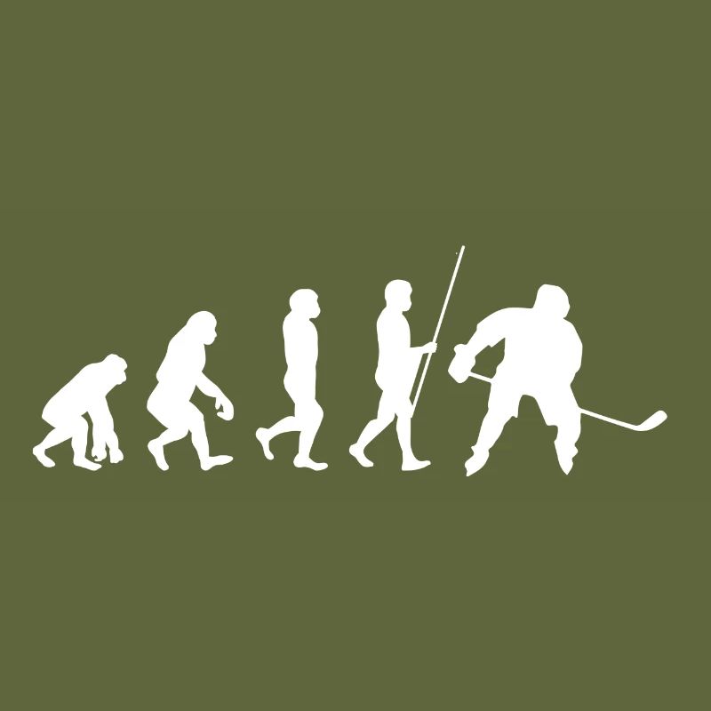 Ice hockey evolution