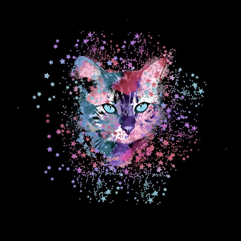 chat, coloré, aquarelle, chaton, étoiles