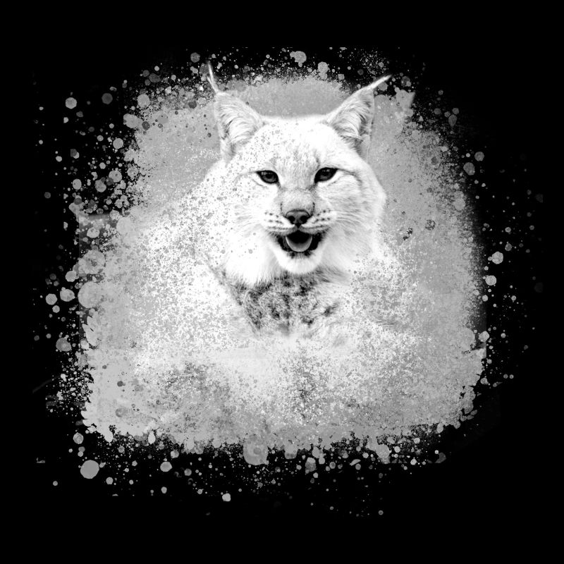 wildkatze,luchs,weiss,graffiti,malerei,katze