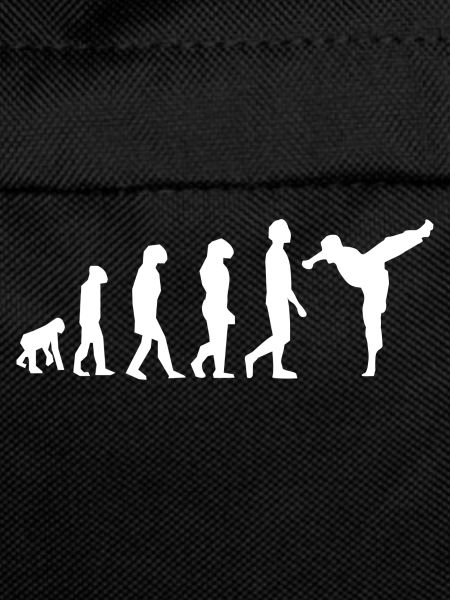 Martial arts evolution