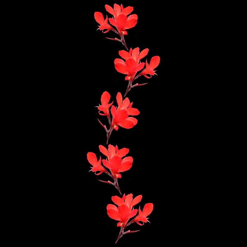 fleurs rouges