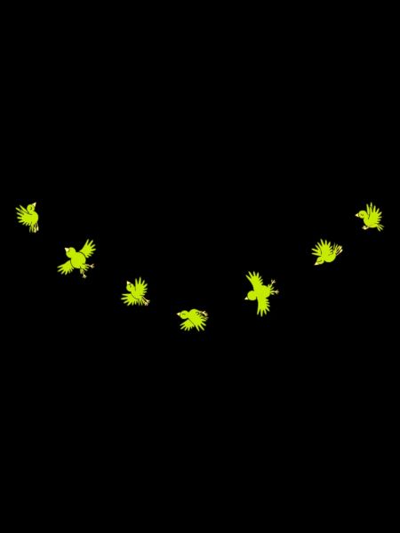Birdies
