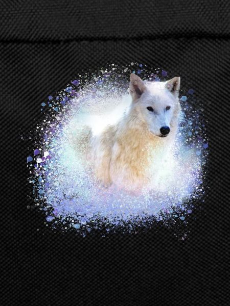 wolf,blue,dog, husky,dog, painting,graffiti