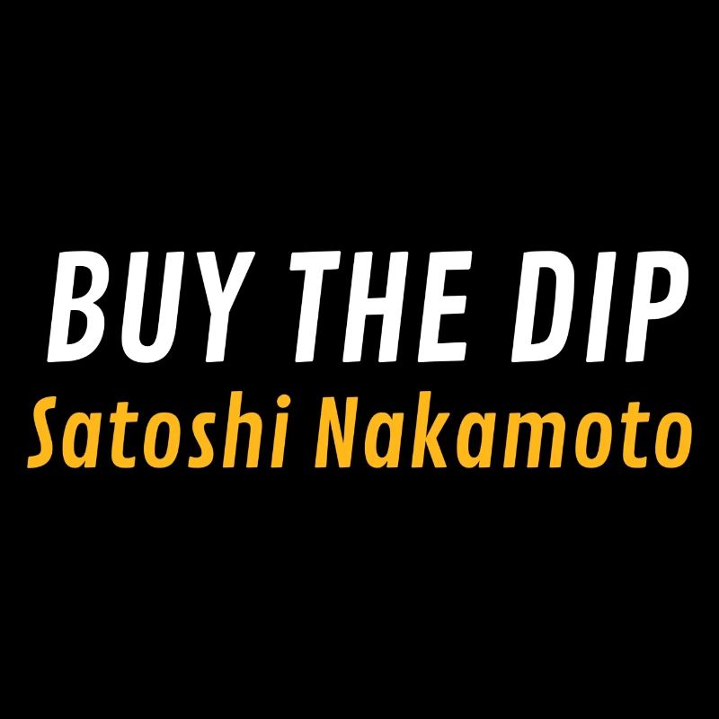 Acheter The Dip Satoshi Nakamoto