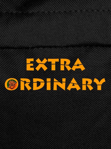 Extra Ordinary