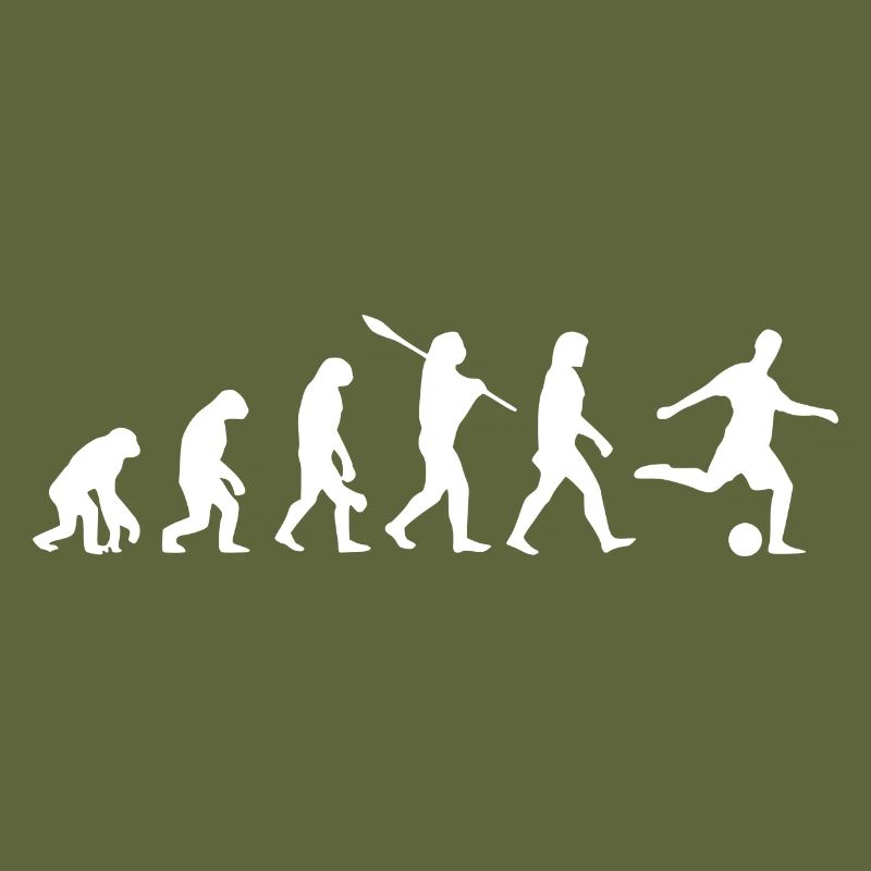 Soccer Evolution