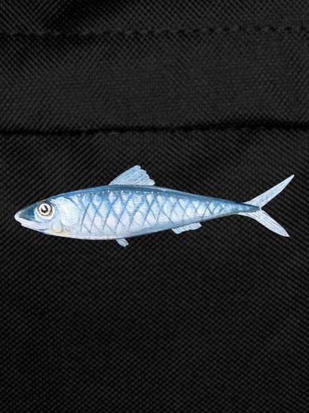Poissons peints