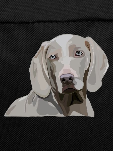 Weimaraner