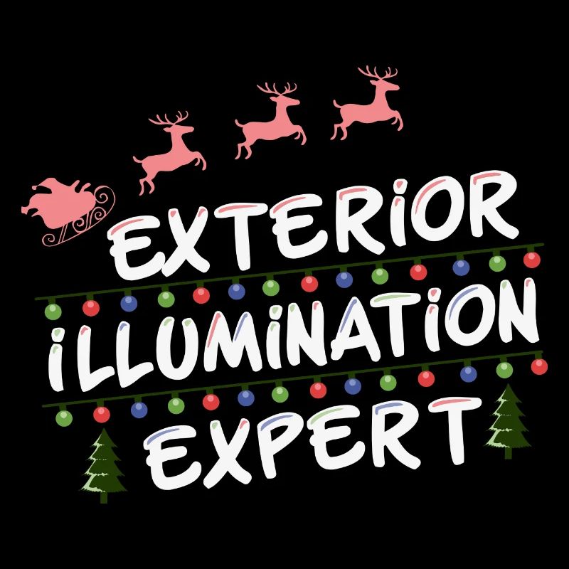 Exterior Ilumination Expert, Funny Christmas In
