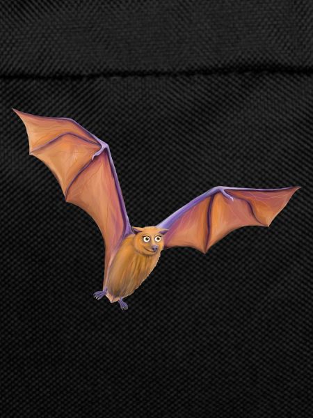 Flying fox bat