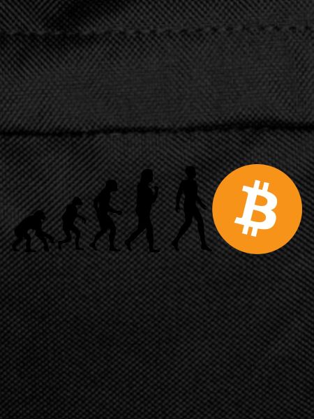 Krypto Evolution of BTC Bitcoin